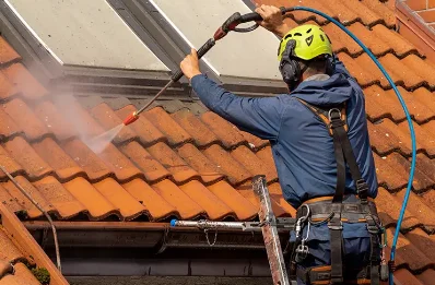Démoussage et hydrofuge de toiture à Bielle
